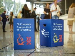 ECP Bilbao Stool Impressions ECP
